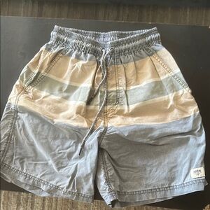 Katin Multicolor Striped Swim Shorts